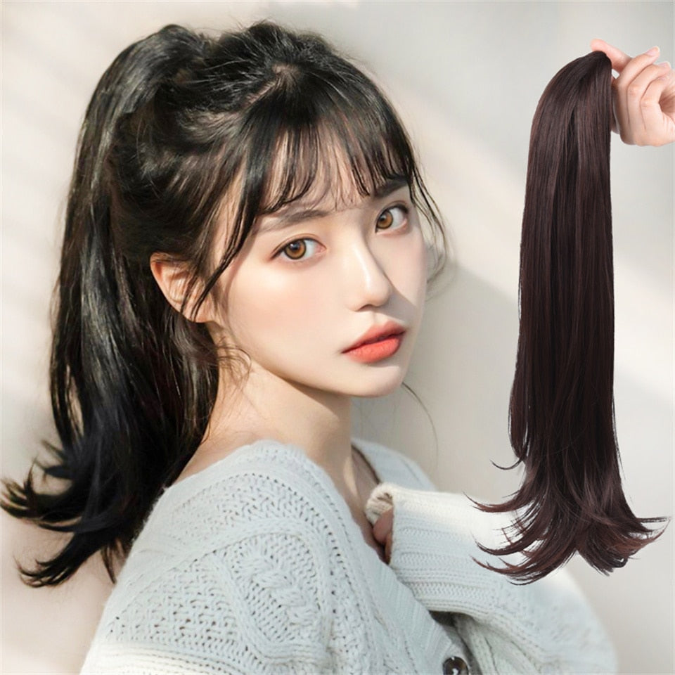 Hair Claw Clip On Ponytail 1