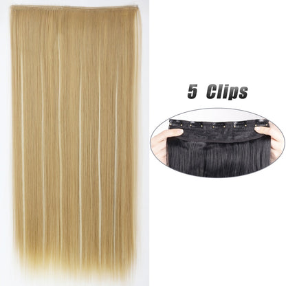 Straight Hair Clip Extensions